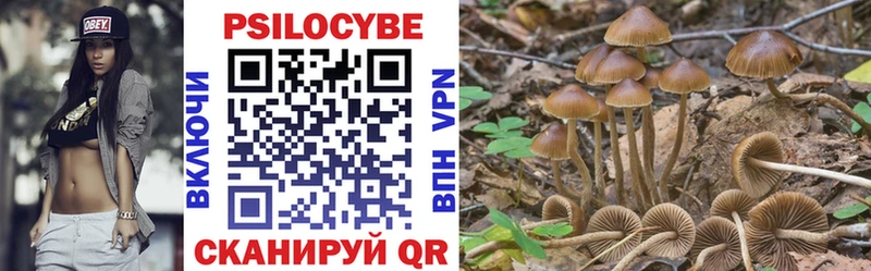Галлюциногенные грибы MAGIC MUSHROOMS  shop наркотические препараты  Черепаново 